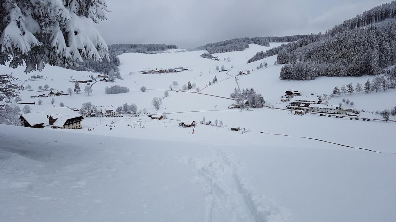 Ferienwohnung Am Schneeberg Titisee-Neustadt Extérieur photo