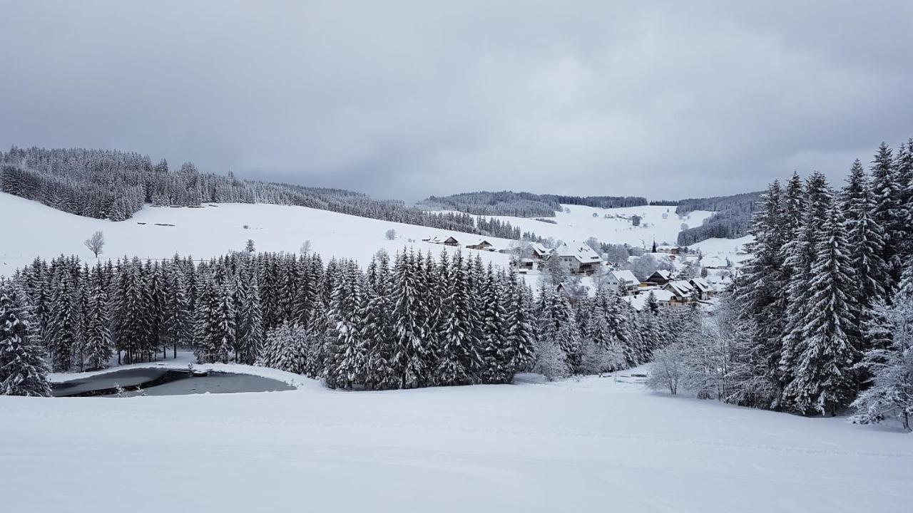 Ferienwohnung Am Schneeberg Titisee-Neustadt Extérieur photo