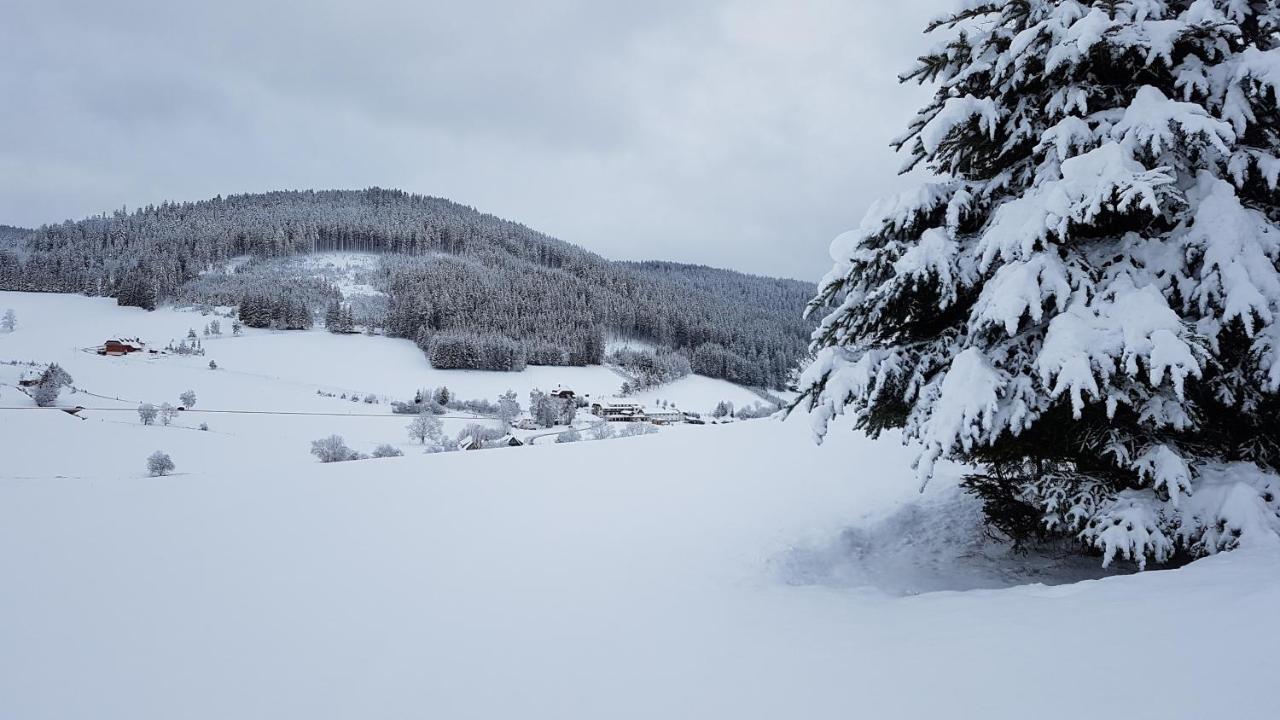 Ferienwohnung Am Schneeberg Titisee-Neustadt Extérieur photo