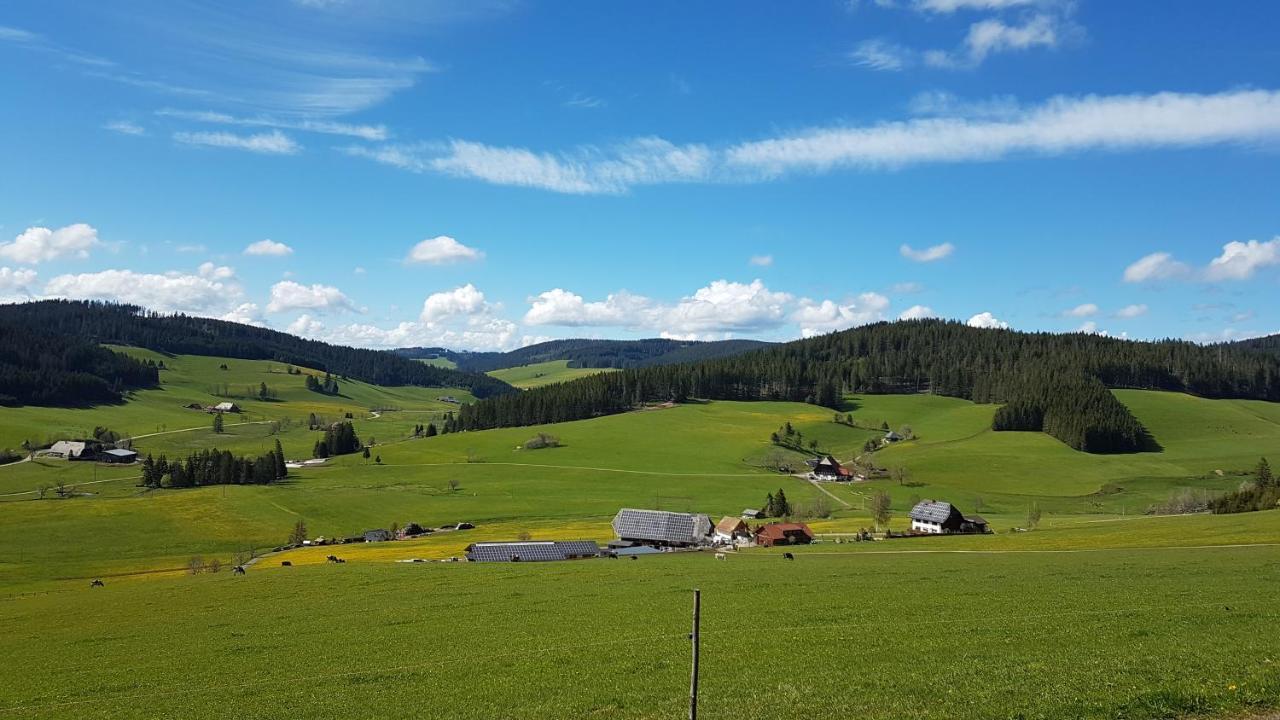 Ferienwohnung Am Schneeberg Titisee-Neustadt Extérieur photo