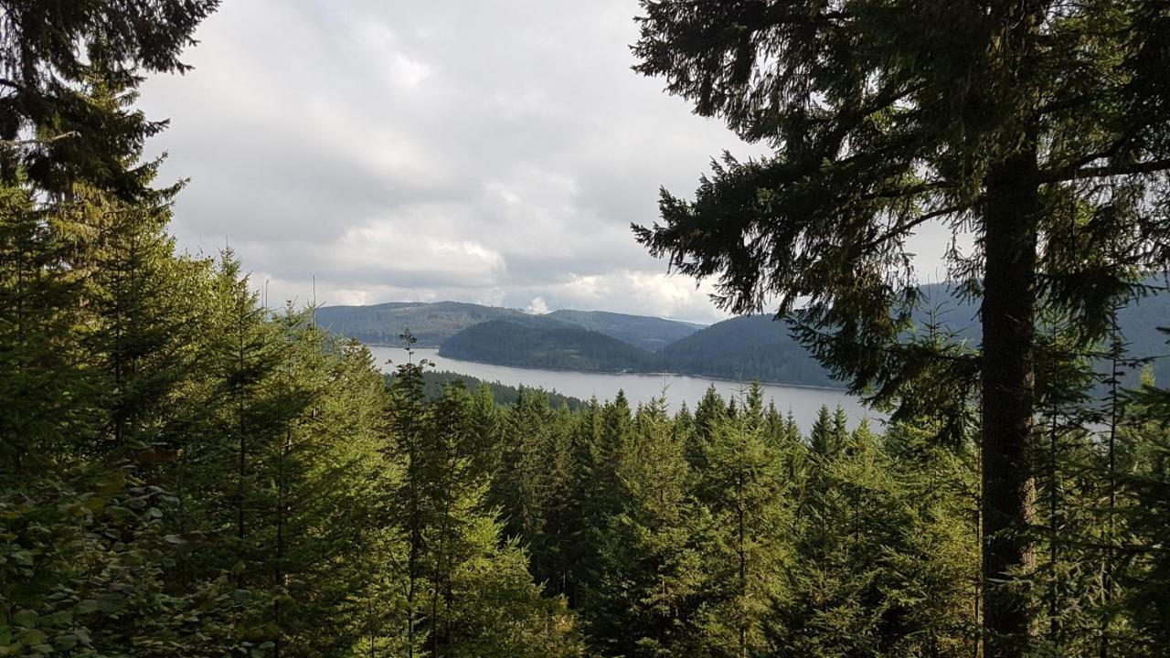 Ferienwohnung Am Schneeberg Titisee-Neustadt Extérieur photo