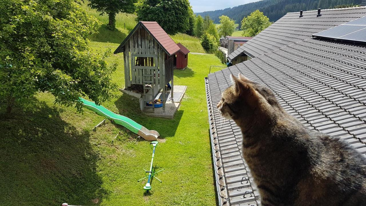 Ferienwohnung Am Schneeberg Titisee-Neustadt Extérieur photo