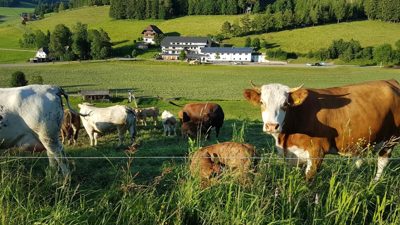 Ferienwohnung Am Schneeberg Titisee-Neustadt Extérieur photo