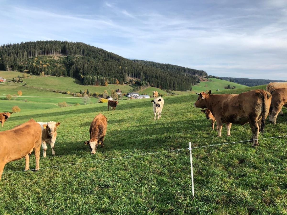 Ferienwohnung Am Schneeberg Titisee-Neustadt Extérieur photo